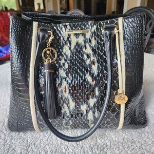 Brahmin Joan in Black Snake